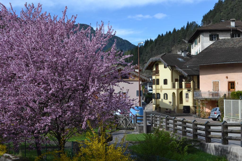 B&B La Tana Dell'Orso - Die Baerenhoehle Кастелло-ди-Фьемме Экстерьер фото
